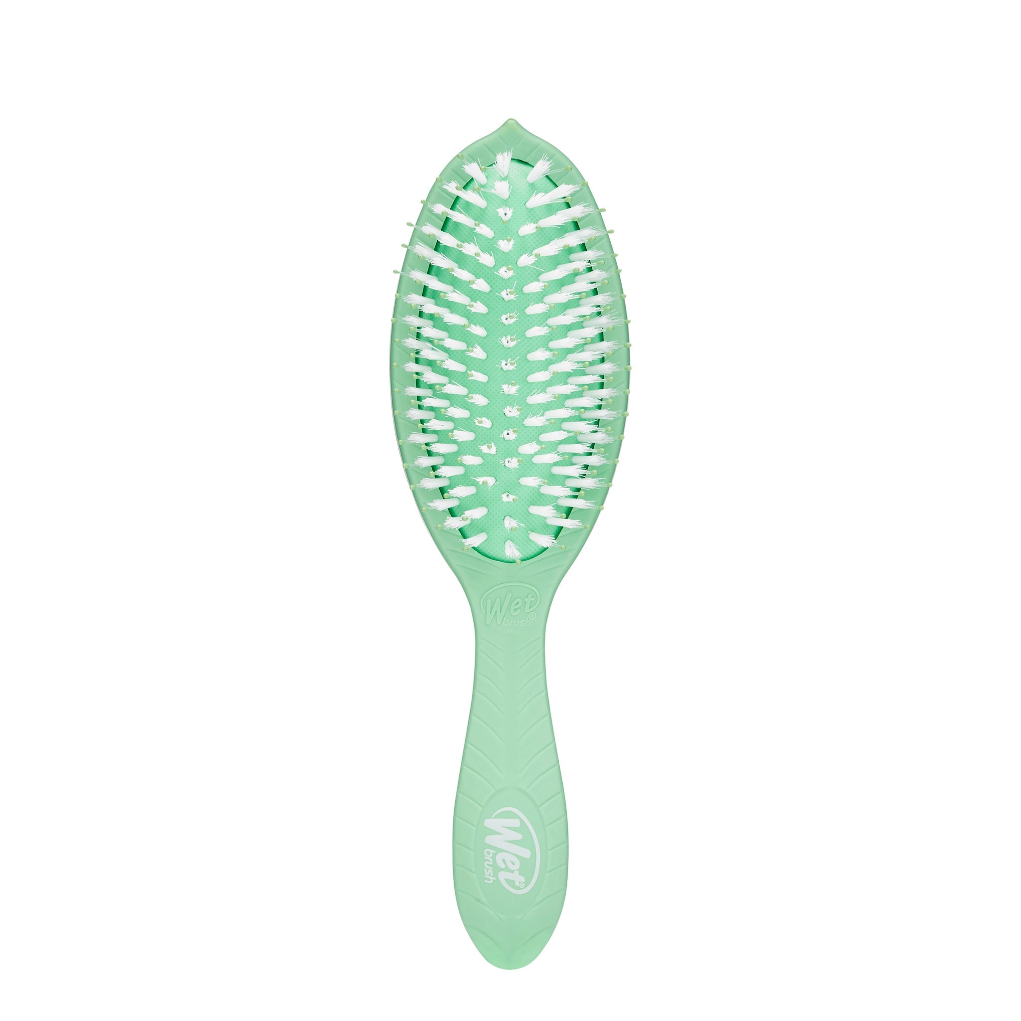 GOGREENTREATMENT-Paddle-TEAL-HairBrush-BIO833TEATREE-WetBrush-Front_2048x2048_e5ac4c28-b571-45b5-b677-38e47cf49994.jpg